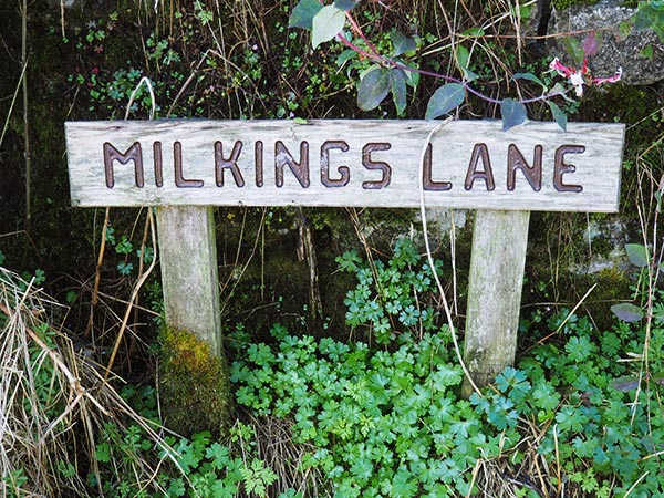milkings lane monyash