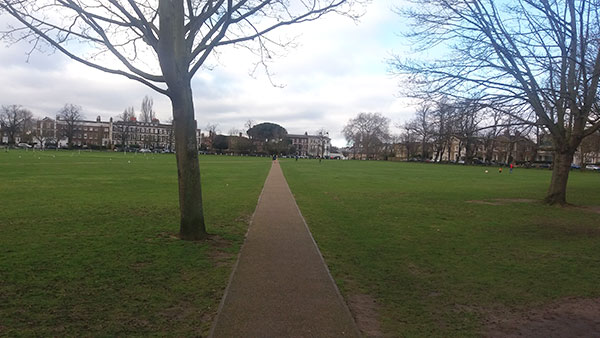 Richmond Park walk